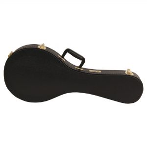 mandolin case