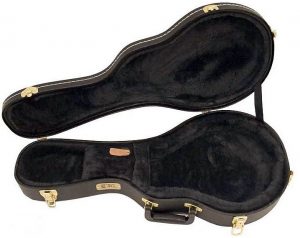 mandolin case